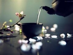 饭后马上喝茶不利于健康